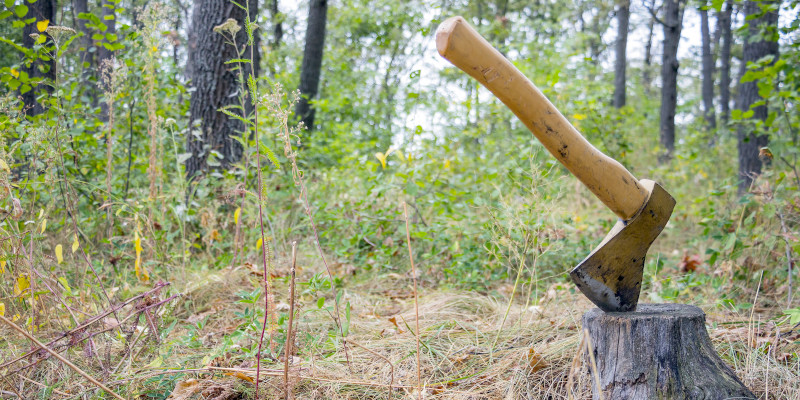 Do It Yourself Sharpening: Axes & Wood-Splitting Tools - Work Sharp  Sharpeners